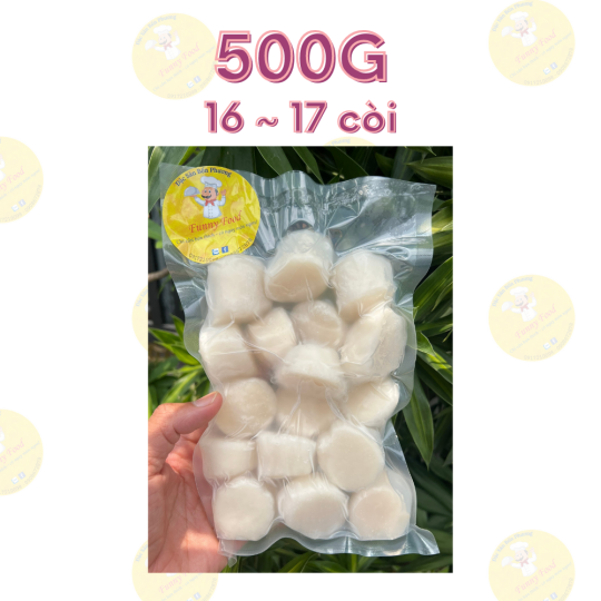 Còi Sò Điệp Sashimi