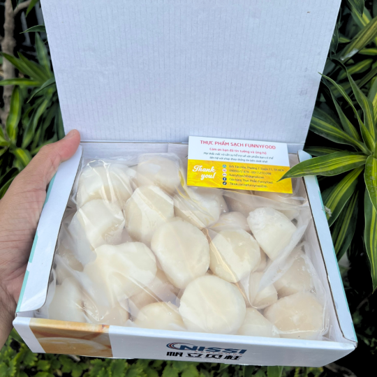 Còi Sò Điệp Sashimi